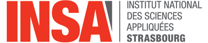Logo INSA Strasbourg